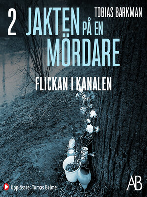 cover image of Flickan i kanalen